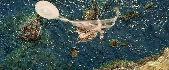 Insert Goofy Yell and/or Wilhelm Scream here.