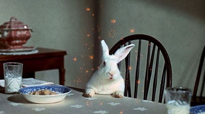 Miss Price: 1 Charlie, the Ex-Human/Now-Rabbit: 0