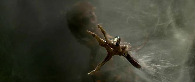 And also having his skin ripped off by the laws of the Fountain of Youth. This guy can't seem to die in only one manner!