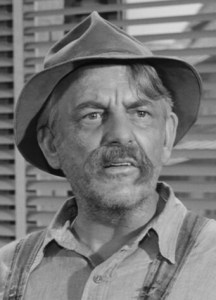 "Briscoe Darling only accepts bit parts."