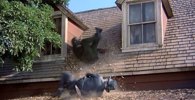 One such example includes getting accidentally knocked off a roof.