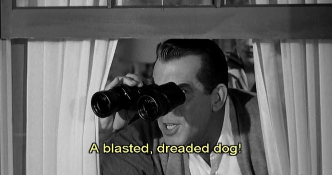 As someone who's frightened of dogs, I share the same sentiments.