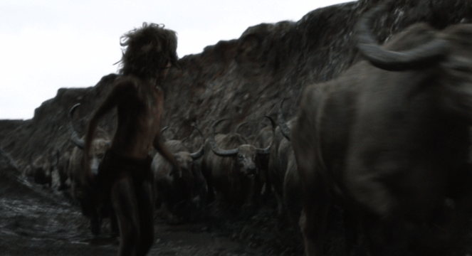 Very The Lion King-esque again! Where's Zazu when you need him?