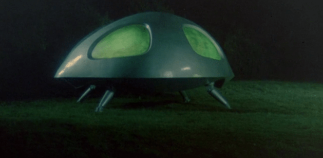 It's more of a UFL...an unidentified flying ladybug!